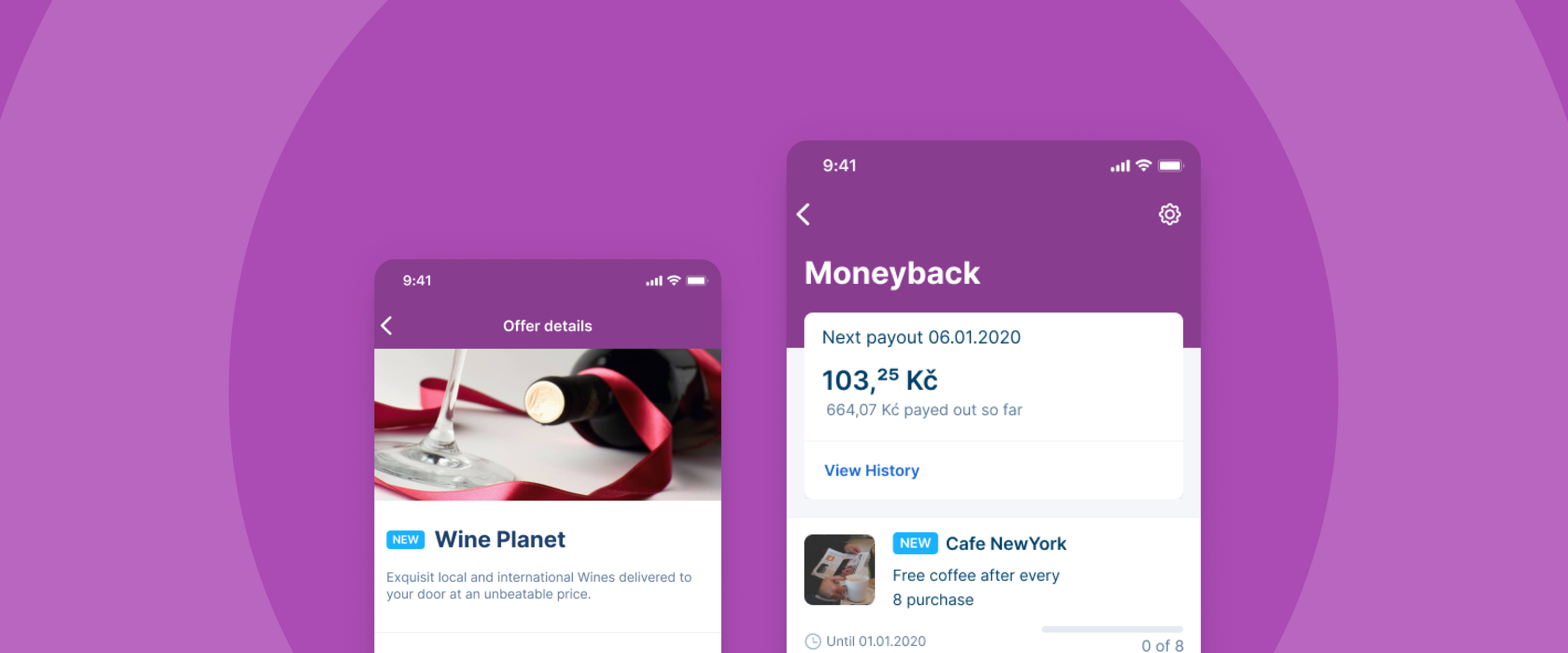 A screenshot of the moneyback plugin